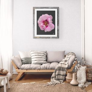 Rosa Pink mit Purple Heart - Ölgemälde Fotodruck