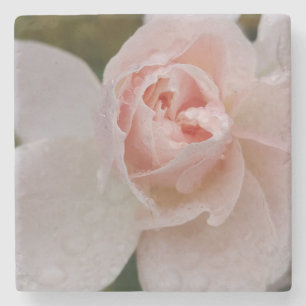 Rosa Pink mit Regentropfen Steinuntersetzer