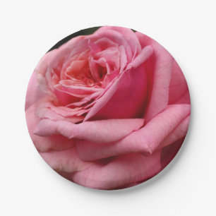 Rosa Pink Rose I Hübsche Blumenfotografie Pappteller