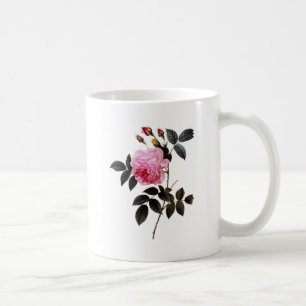 Rosa 'Pink rose', Pierre Joseph Redouté Tasse