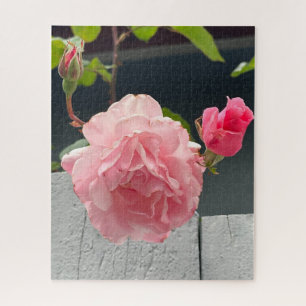 Rosa Pinke auf Holzzaun, Oakland Puzzle