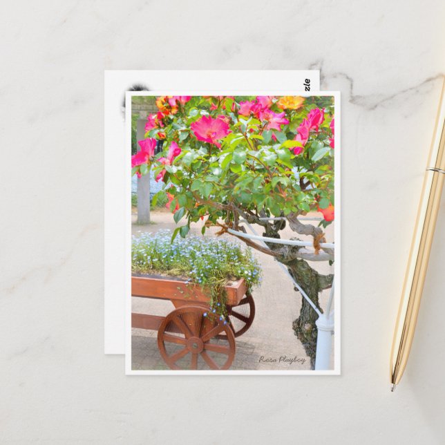 Rosa Playboy Postkarte (Vorderseite/Rückseite Beispiel)