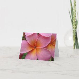 Rosa Plumeria Notecard Karte