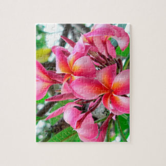 Rosa Plumeria- oder Frangipani-Blume Puzzle