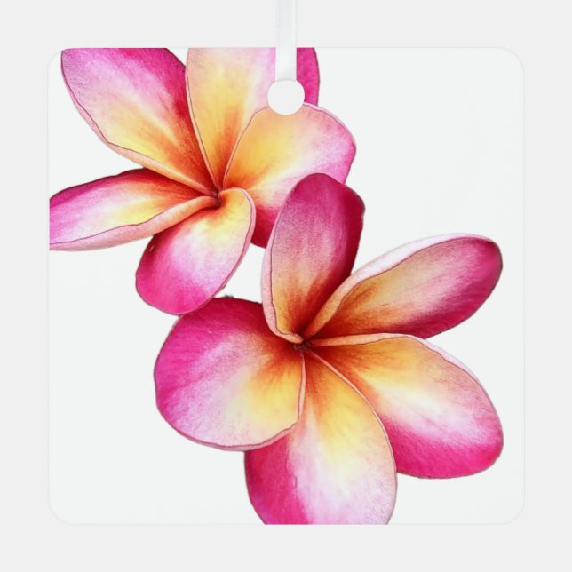 Rosa Plumeria Ornament Aus Metall (Vorderseite)