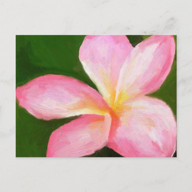 Rosa Plumeria Postkarte (Vorderseite)