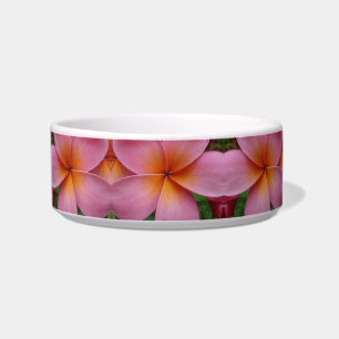 Rosa Plumeria-tropische Blume blüht Napf