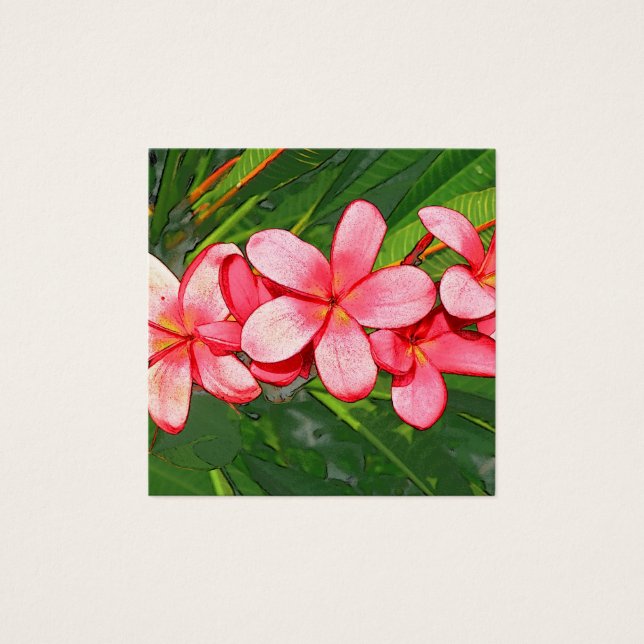 Rosa Plumerias (Vorderseite)