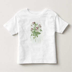 Rosa Pomponia, von 'Les Rosen Kleinkind T-shirt