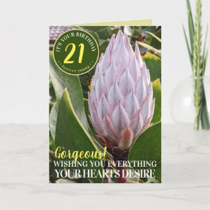 Rosa Protea-Blumen Glückwunschkarte zum Geburtstag Karte