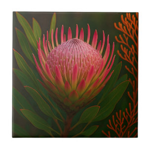 Rosa Protea-Blüte exotische Blüte Fliese