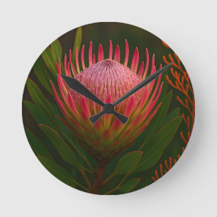 Rosa Protea-Blüte exotische Blüte Runde Wanduhr
