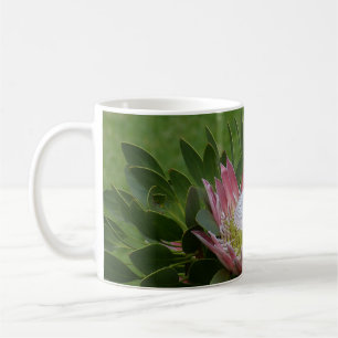 Rosa Protea-Blüte Kaffeetasse