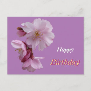 Rosa Prunus-Blüten Frohe Geburtstag-Postkarte Postkarte