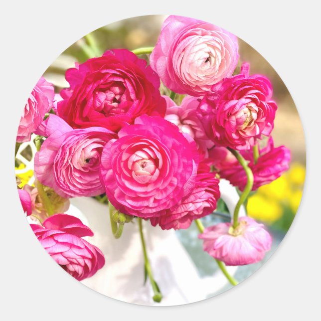 Rosa Ranunculus Classic Round Stickers (Vorderseite)