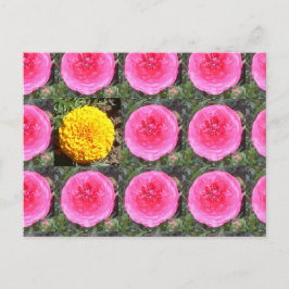 Rosa Ranunculus und gelbe Marigold Postkarte