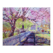 Rosa Redbud-Blüten in Williamsburg Virginia