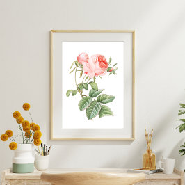 Rosa Redouté Vintage Rose Seidenpapier