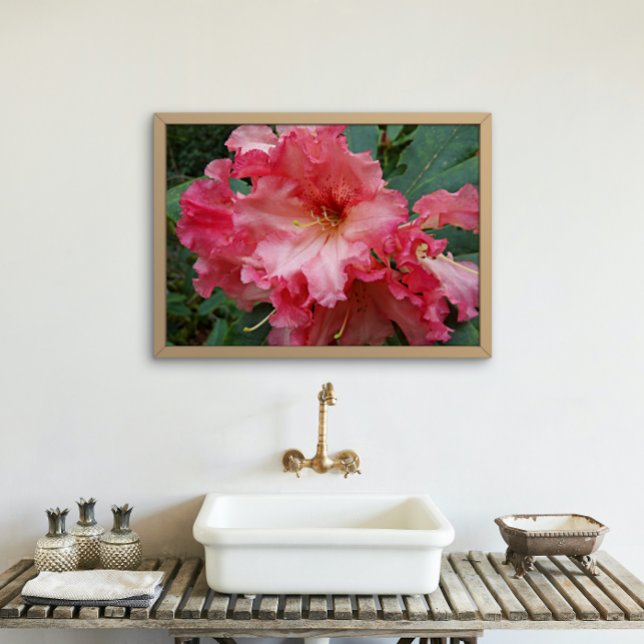 Rosa Rhododendron Blooms Bloral Poster (In Situ)