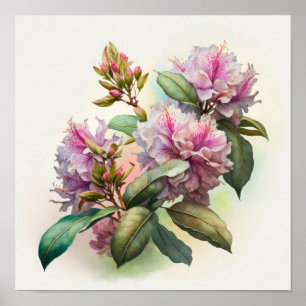 Rosa Rhododendron Blume Art Print Poster