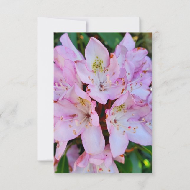 Rosa Rhododendron-Blume Einladung (Vorderseite)