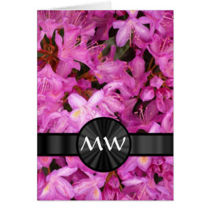 Rosa Rhododendron Blume Monogramm