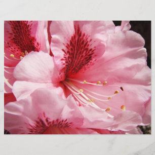 Rosa Rhododendron Blume Papier für benutzerdefinie