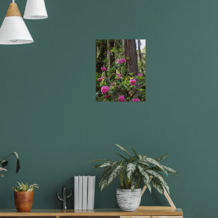 Rosa Rhododendron in einem Wald, Florale Fotografi Poster