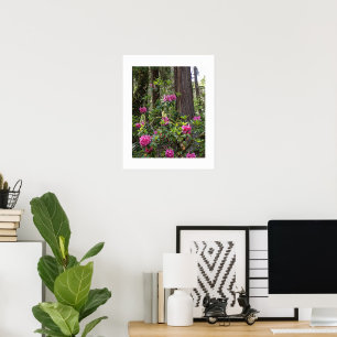 Rosa Rhododendron in einem Wald florale Fotografie Poster