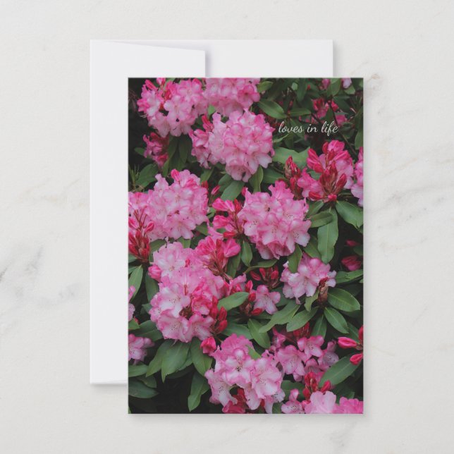 Rosa Rhododendron Mitteilungskarte (Vorderseite)