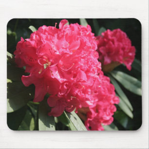 Rosa Rhododendron Mousepad
