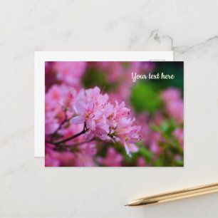 Rosa Rhododendron-Postkarte Postkarte