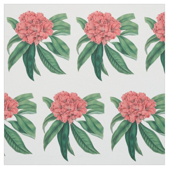 Rosa Rhododendron Stoff (Muster)