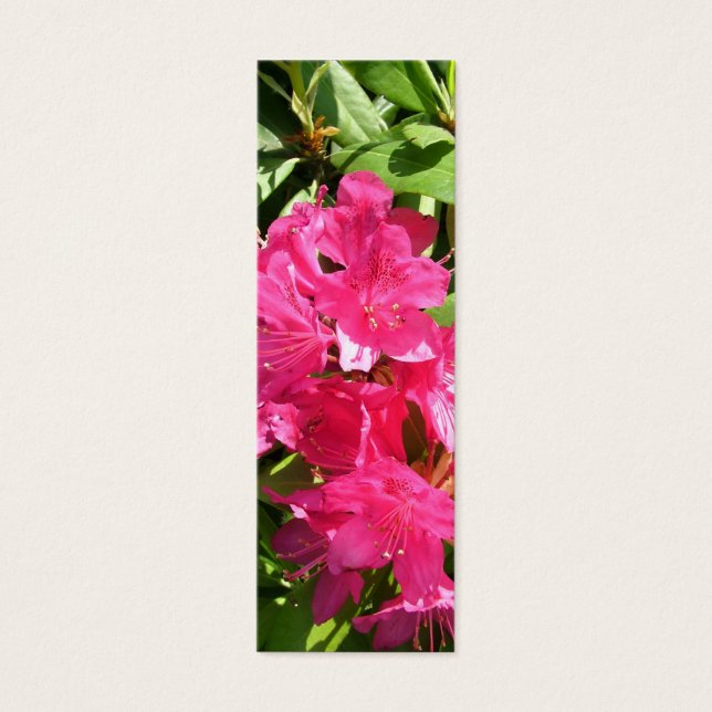 Rosa Rhododendron und blaue Iris (Vorderseite)