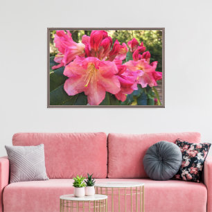 Rosa Rhododendronblüten Floral Leinwanddruck
