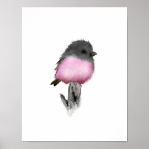 Rosa Robin Poster Print
