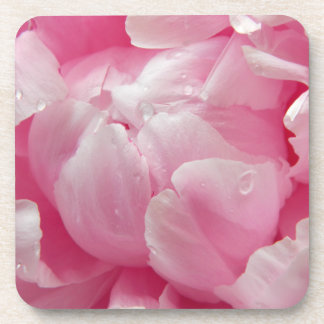 Rosa Romantik blühende Blume mit Tau Untersetzer