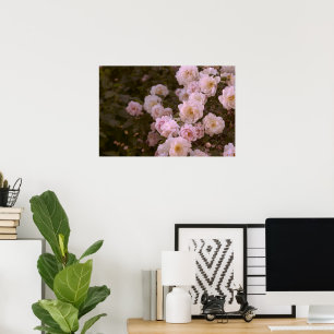 Rosa romantische Rose Poster