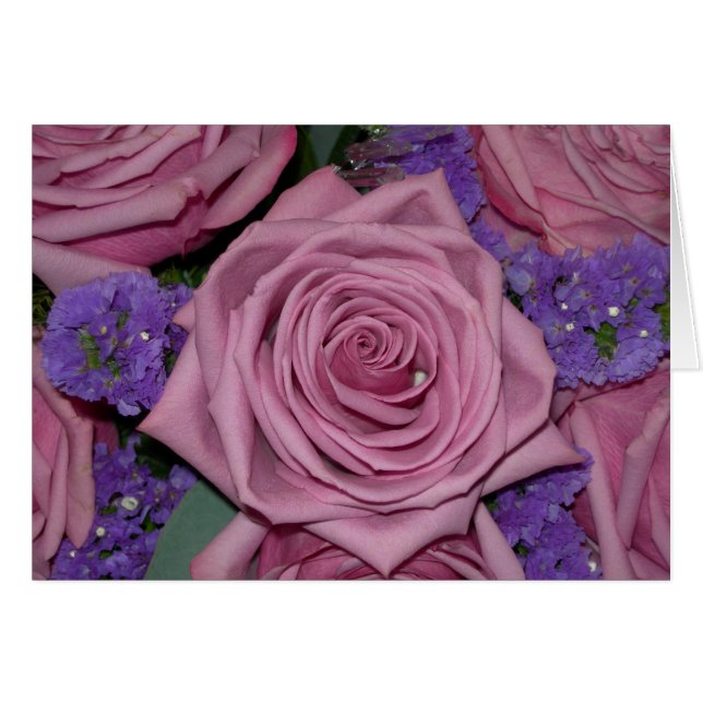 Rosa Rosa (Vorderseite (Horizontal))