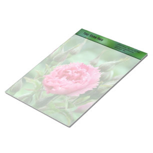 Rosa rosa Blume, Blumenfotografie. Notizblock