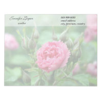 Rosa rosa Blume, Blumenfotografie.