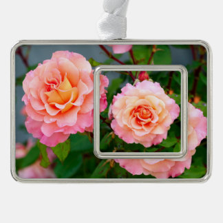 Rosa Rosa Blume in einem Gartenposter Rahmen-Ornament Silber