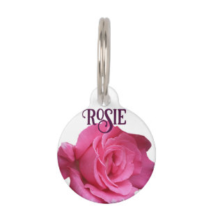 Rosa Rosa Blütenblüte Rosie Hund Katzenname Haustiermarke
