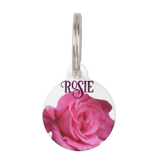 Rosa Rosa Blütenblüte Rosie Hund Katzenname Haustiermarke