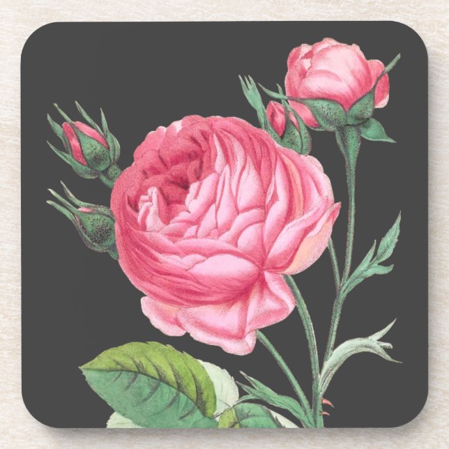 Rosa Rosa Blütenzeit Getränkeuntersetzer (Vorderseite)