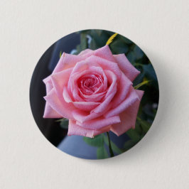 Rosa Rosa Button