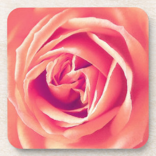 Rosa-Rosa-Druck Getränkeuntersetzer