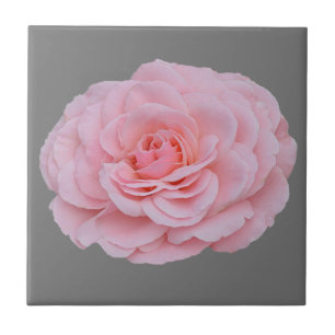 Rosa Rosa Fliese