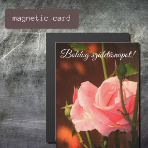 Rosa Rosa Foto - Ungarischer Geburtstag Magnetkarte