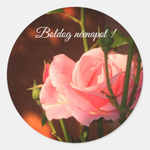 Rosa Rosa Foto - Ungarischer Namenstag Runder Aufkleber